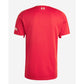 LIVERPOOL HOME SHIRT 25/26 (PLAYER VERSION LOGOS)